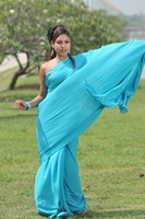Mona Saree Photos